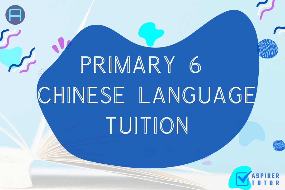 Primary 6 Chinese Tuition